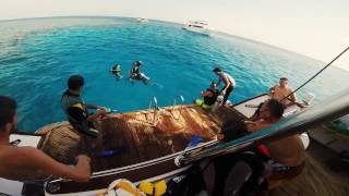 Wake&amp;KiteBoarding, Diving&amp;Snorkeling, Egypt, Hurghada