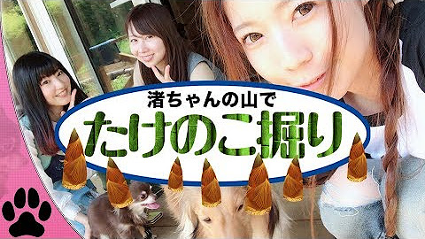 よきゅch Youtube