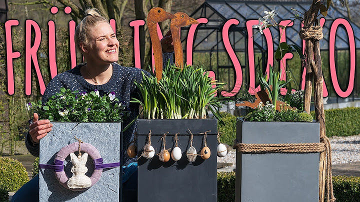3 TOLLE DEKOIDEEN FÜR DEN KÜBEL & HILFREICHE TIPPS ZUR PERFEKTEN BEPFLANZUNG IM FRÜHLING - DIY