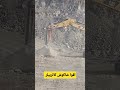 اقوا شاكوش كاتربيلر معدات ثقيلة مصر 365