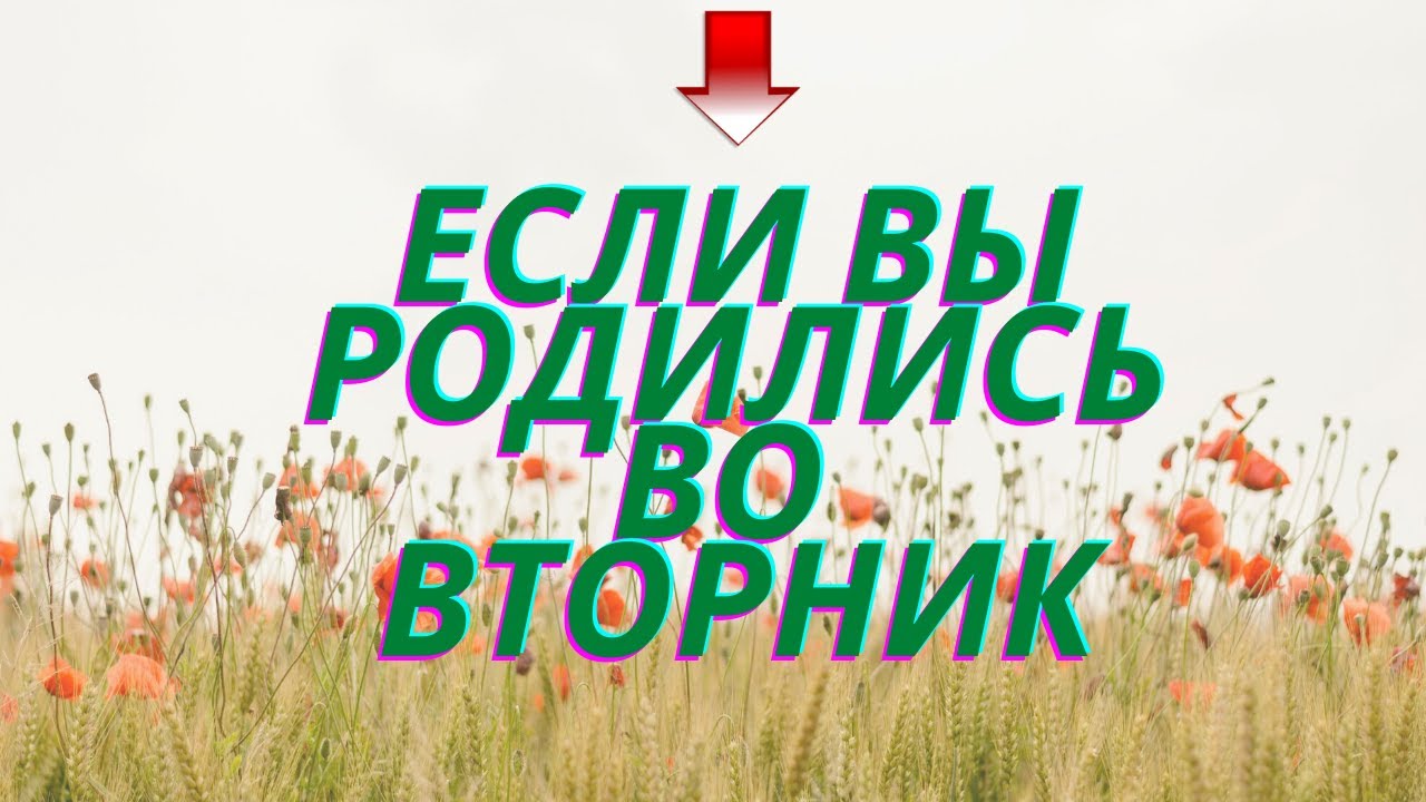 люди вторника. вторник макэвой мем. открытки с пожеланиями на каждый день. люди вторника. весенний сервис.