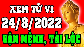 Tử vi 12 con giáp ngày 24/8/2022 - Xem Vận Mệnh, Tài Lộc, Công Việc, Sự Nghiệp, Tình Duyên, Sức Khỏe