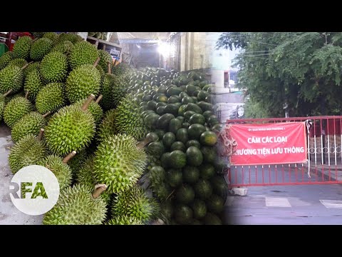 Video: APEC Chuẩn Bị Xếp Hạng Các Số Liệu Ngành Nông Nghiệp Vào Tháng 9