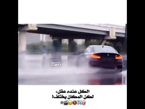 لطشات الكل عنده عقل لكان المكان يختلف مع تشفيط  حالات واتس لطشات حالات واتس تشفيط 