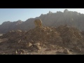 The Rock of Horeb - 1