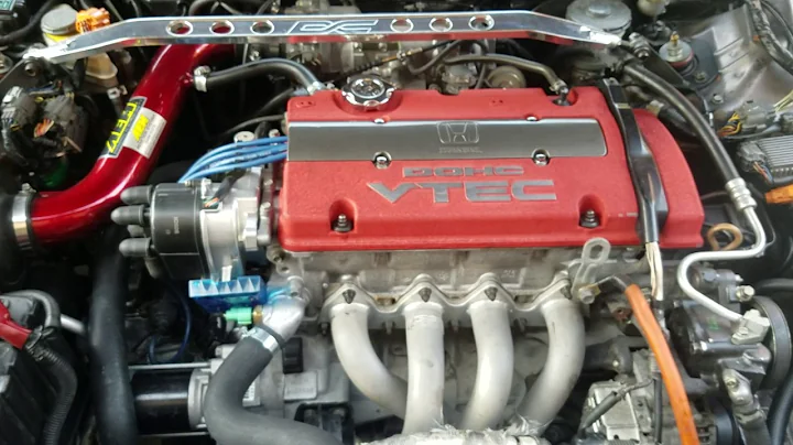 Dao Vang's Accord