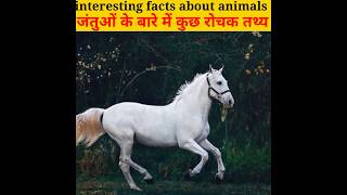 interesting facts about animals jantuon ke bare mein rochak tathya shortsyoutubeshorts