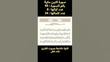 سورة التين، تلاوة خاشعة بصوت القارئ علاء عقل