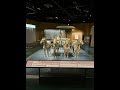 香港歷史博物館| Hong Kong Museum of History #travelhongkong #chinahistory #西安#terracottawarriors #4k