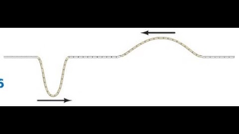 (15-41) The two pulses shown in Fig. 15-36 are moving toward each other, (a) Sketch the shape of the