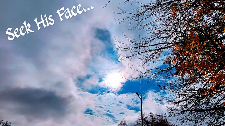 Looking Up!
