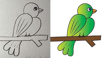 Bird pencil drawing to digital conversion | Manual Tracing