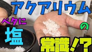 【アクアリウム】塩・塩浴の効果と必要な理由について【ベタ】