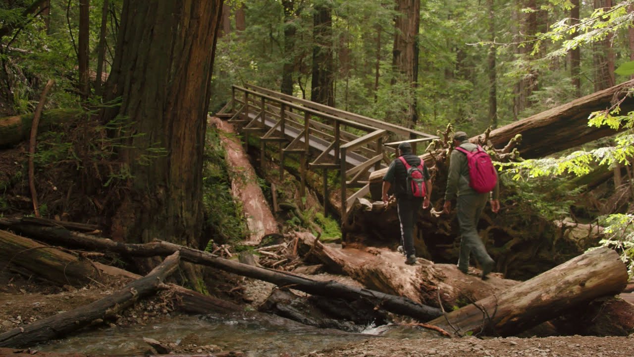 Off the Beaten Path - Marin County Tourism