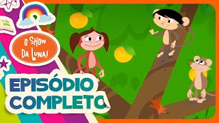 Como As Frutas Amadurecem? - Episódio Completo L O Show Da Luna