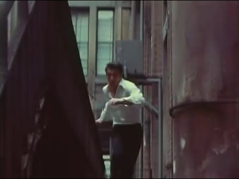 資生堂 ブラバス 落ちる猫 1971年 CM