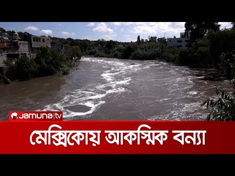 ভিডিও: মেক্সিকান পেসো কি পরিবর্তিত হয়েছে?