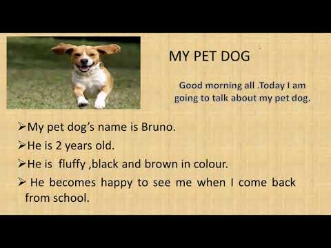 informative speech on dogs