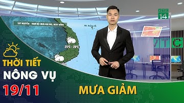 Thời tiết nông vụ 19/11/2023:Tây Nguyên, Nam Bộ mưa giảm, cục bộ chiều tối có mưa rải rác  | VTC14