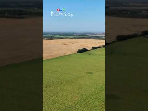 سوپر فن ماگو شانس خود را در هواشناسی امتحان می کند