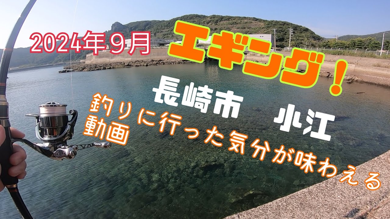 2024年9月 長崎市 小江 エギング！釣りに行った気分を味わえる動画