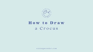 How to Draw a Crocus