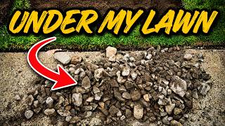 THIS Was Killing My Lawn…