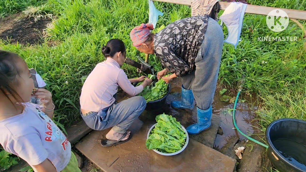 Lawv mu tsev tag tsuav Kuv niam ,niam tais peb nyob tom teb no  noj tshais os 13/10/ 2025