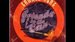 Video thumbnail of "canned heat - THE FAT CAT"