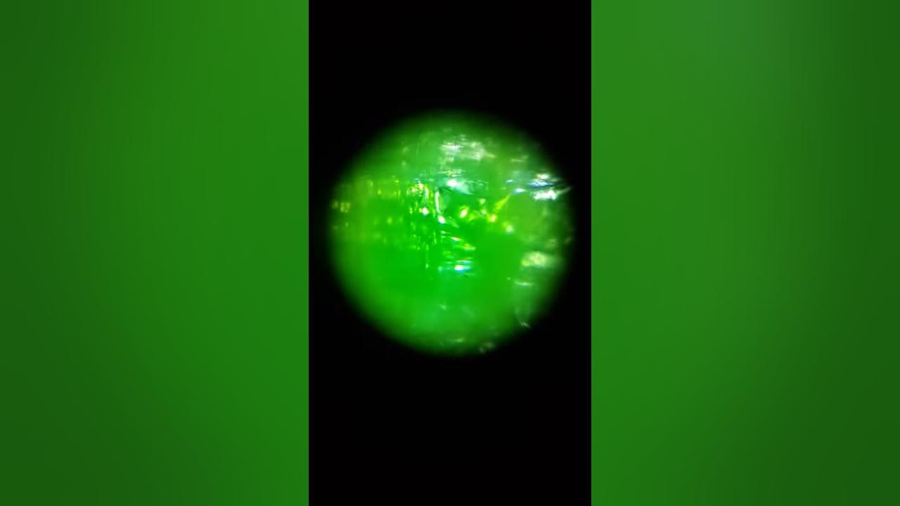 VELCRO magnified 100x under a microscope! YouTube