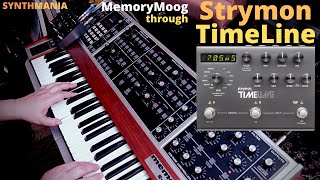 Strymon TimeLine unboxing & demo