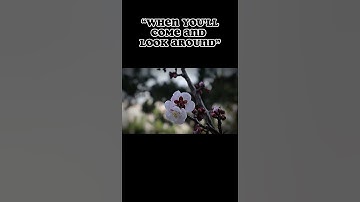 i love nature and japanese architecture #nature #edit #viral