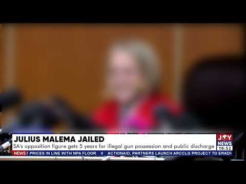 SA's opposition figure Julius Malema gets 5 years for illegal gun possession and public discharge