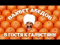 Вахбет Абедов - В гостя к Галустяну [Official Video]