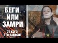 Реакция может спасти жизнь, отчего это зависит #жизнь #крокуссити