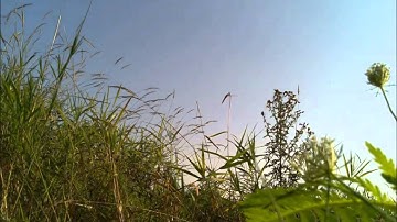 Grow - Raspberry Pi Timelapse Camera