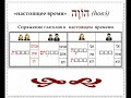 Урок № 50  Структура глаголов иврита