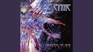 Video thumbnail of "Cynic - The Space for This (Remix)"