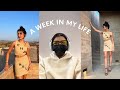 I’m back! Mexico/LA vlog | Ellie Zeiler