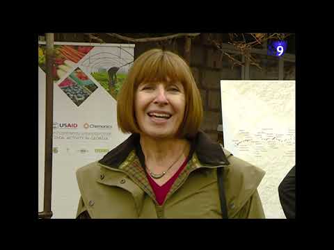 სხვილისში სოფლის გაძლიერებისკენ მიმართული პროექტები განხორციელდება