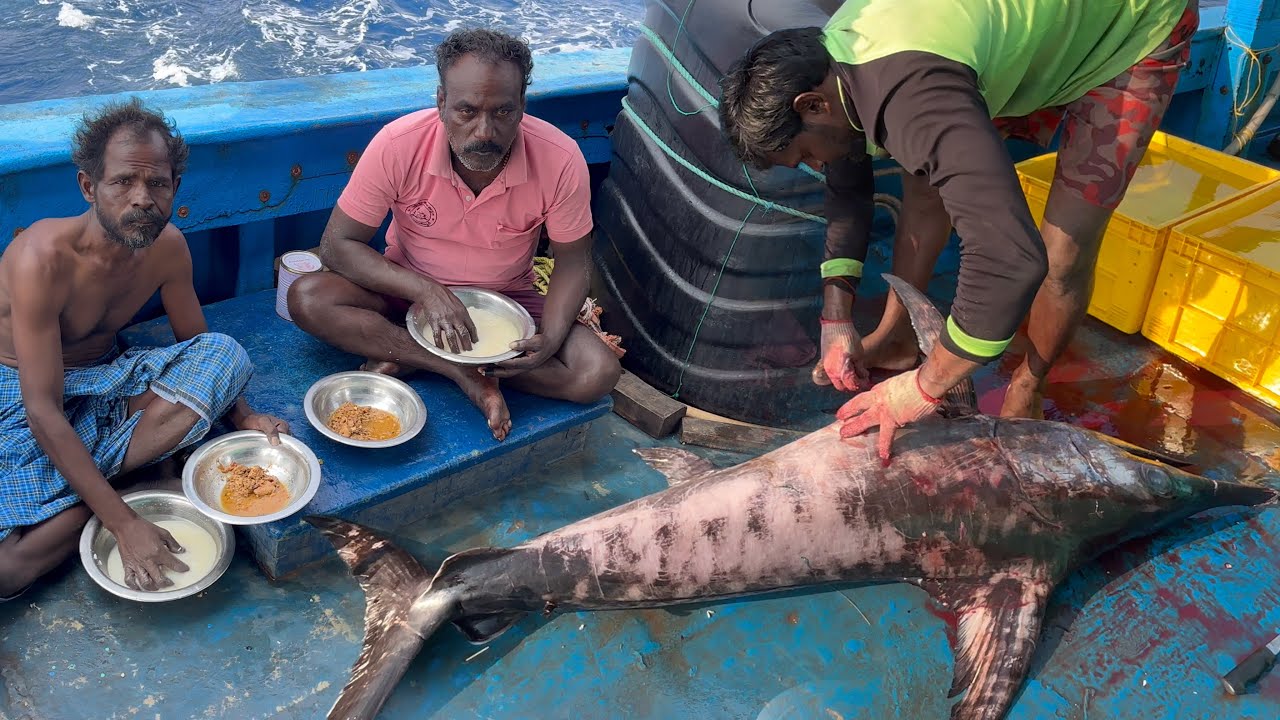 Amazing🤩 Our Second Day We Stay In The Deep Sea And Caught Lot Of Tuna Fishes | Day-02 | S01-EP02