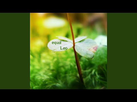 在 YouTube 上觀看「equal」 在 YouTube 上觀看「equal」