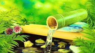 Peaceful Water Sounds and Relaxing Music for Inner Peace and Serenity