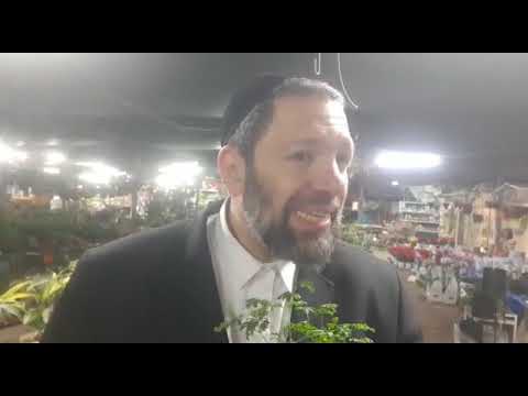 וִידֵאוֹ: לאיזה עלה דפנה מתאים?