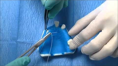 Suture and knotting techniques on a model - Prof. Labanca