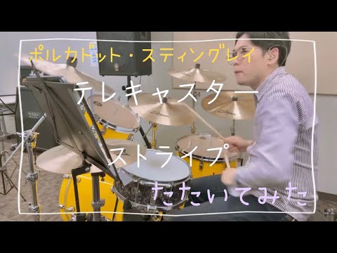テレキャスター・ストライプ / ポルカドットスティングレイ