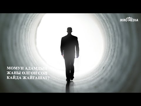 Video: Жаныбарлар өлгөндө кайда барат?