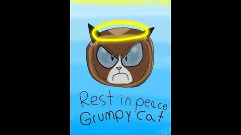 Grumpy Cat Tribute