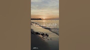 #قران #قران_كريم #القارئ_ياسر_الدوسري #راحة_نفسية #تلاوة_خاشعة #تلاوات #المصحف#اكسبلور