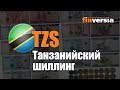 Видео-справочник: Все о Танзанийском шиллинге (TZS) от Finversia.ru. Валюты мира.